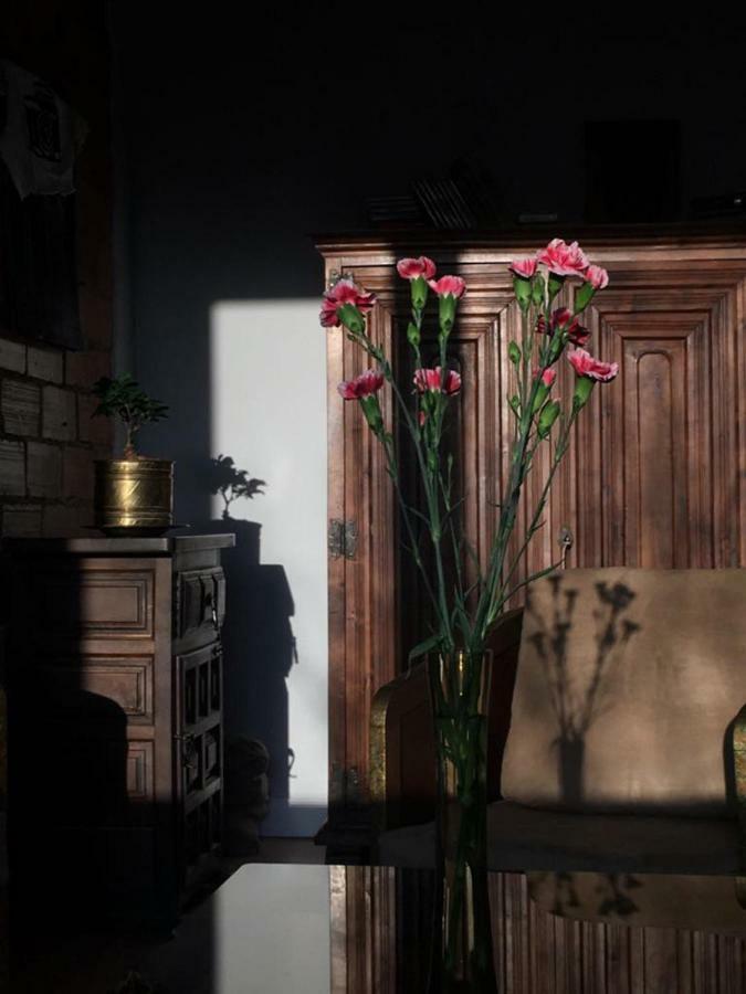 Apartamenty Ogrodowa - Lublin 700 外观 照片