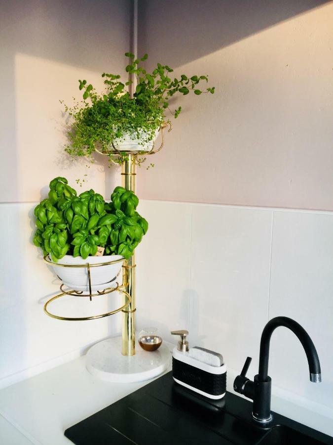 Apartamenty Ogrodowa - Lublin 700 外观 照片
